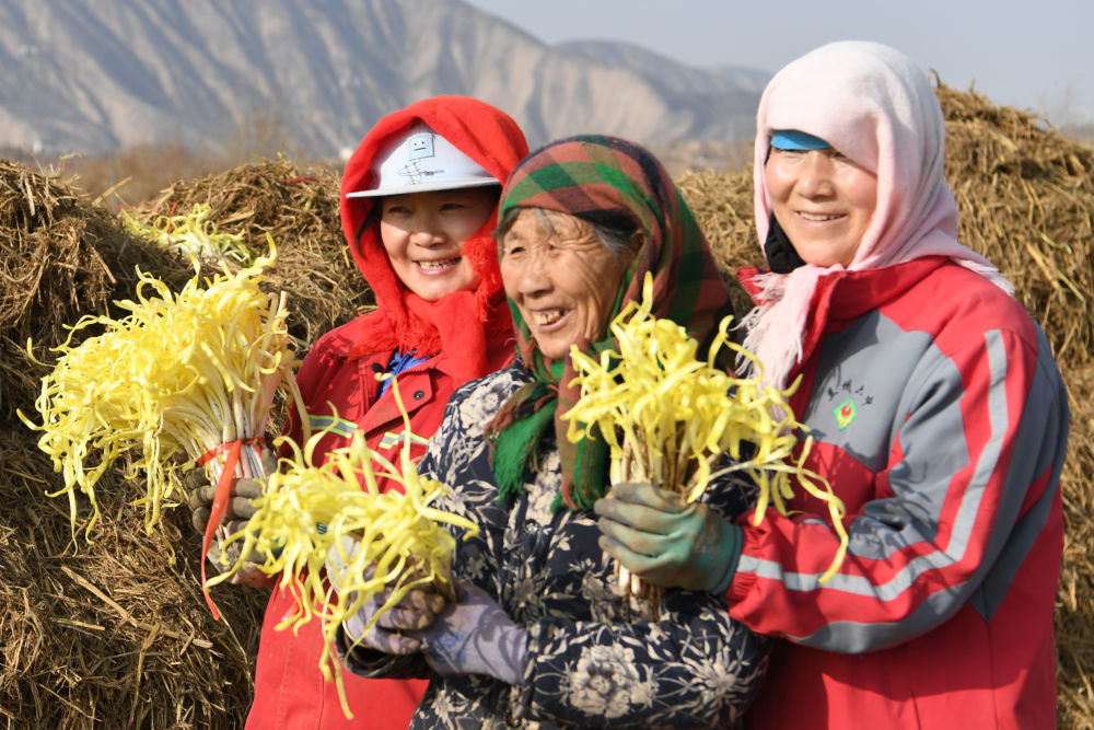 黄土高坡的农民图片图片