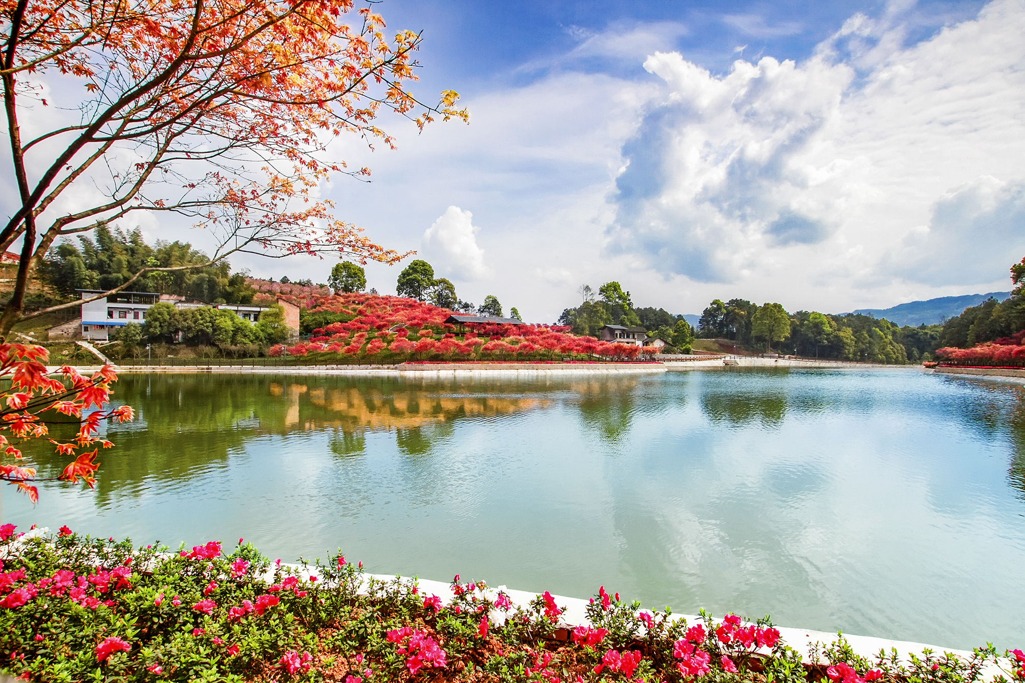 创新利益联结机制巴南区南彭街道开拓乡村振兴新空间