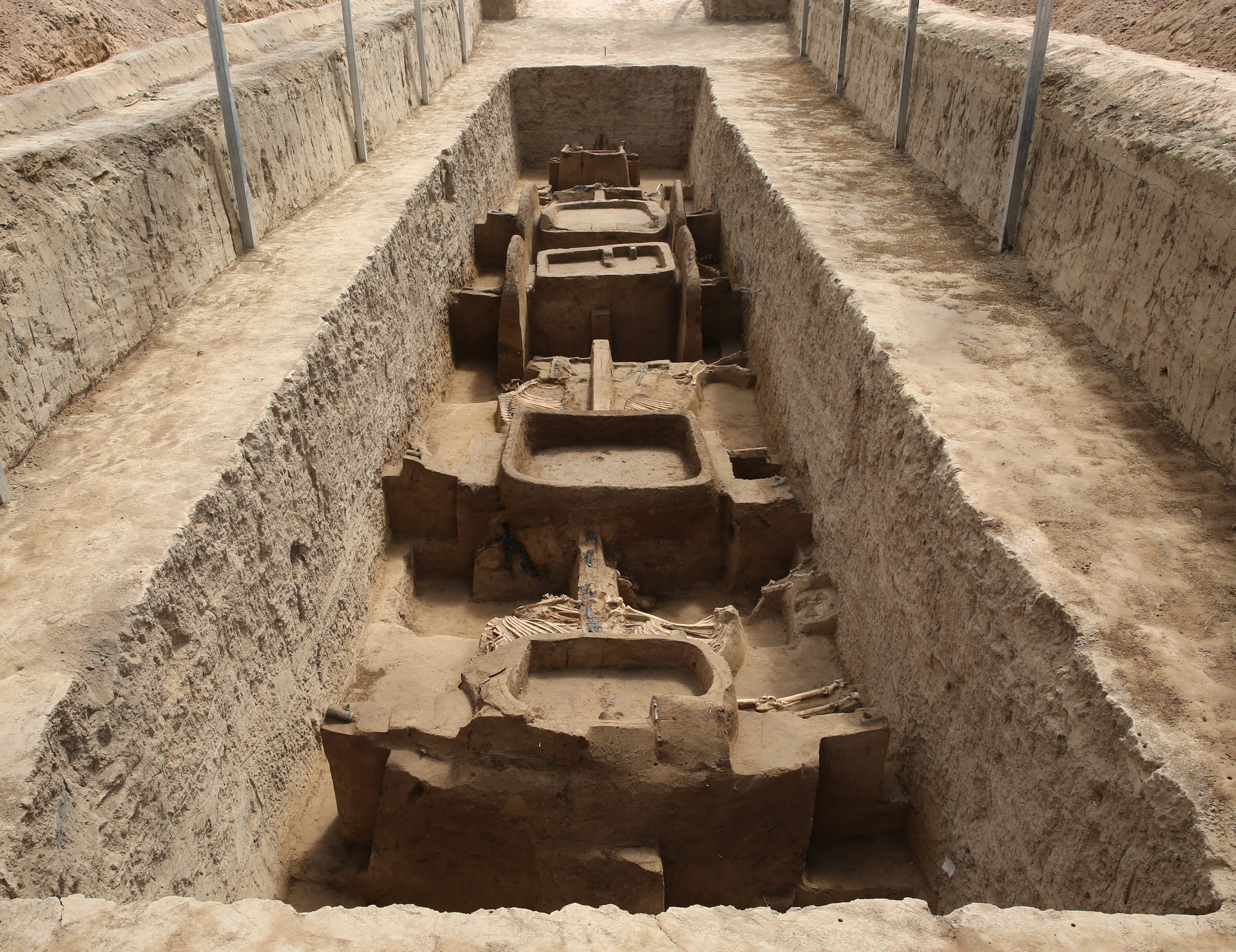 石家墓地MK5车马出土情况