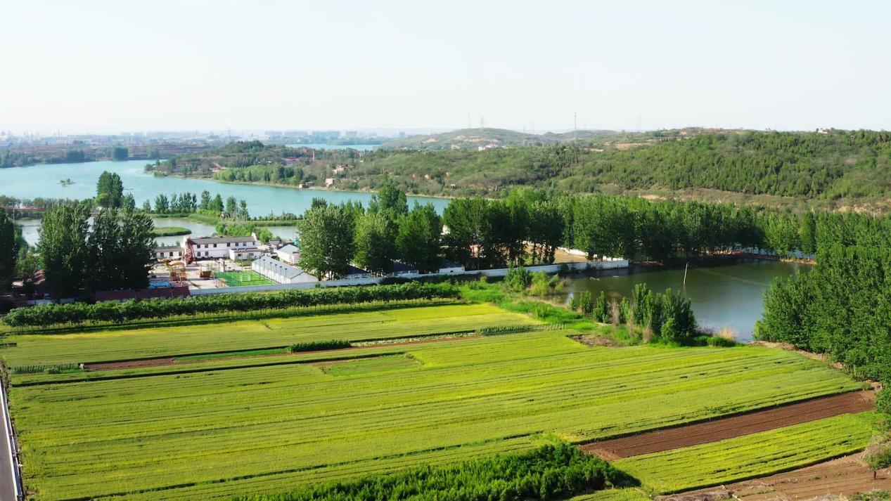 安阳市践行山水林田湖草沙是生命共同体的系统理念凤凰网河南_凤凰网