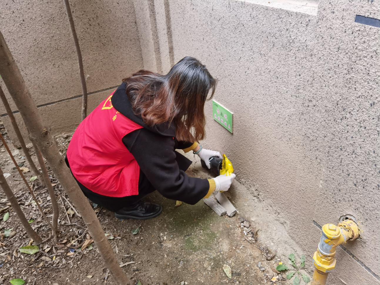 环境治理为主、药物消杀为辅