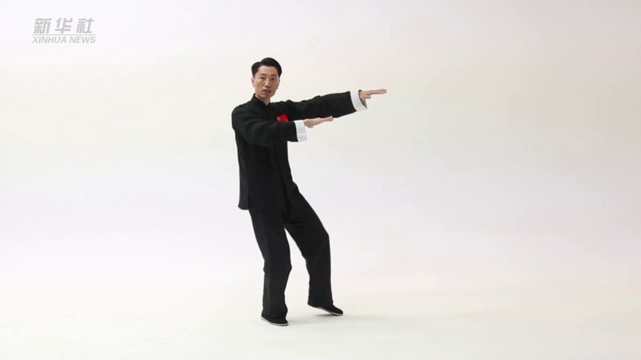 柴云龙详解《24式太极拳》第五式——手挥琵琶