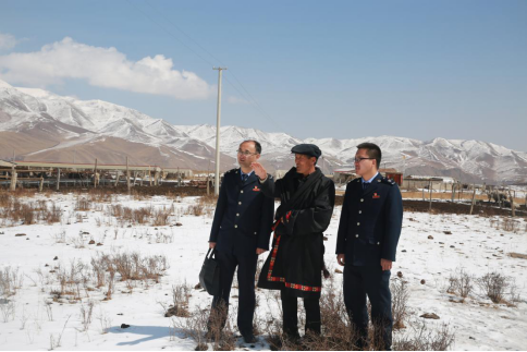 白牦牛养殖户向税务干部介绍养殖情况