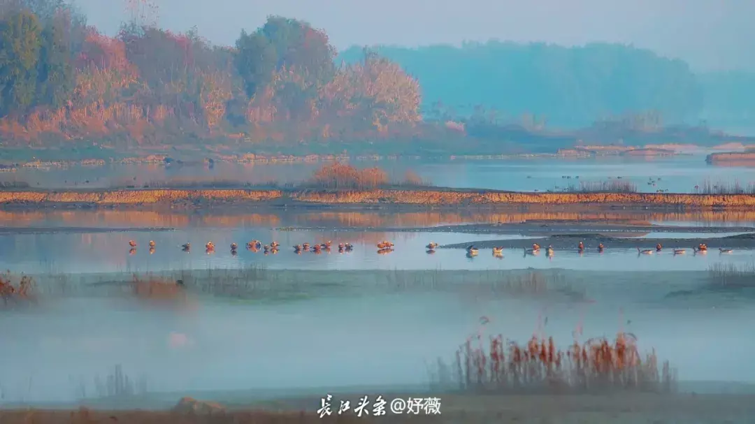 点击查看高清原图