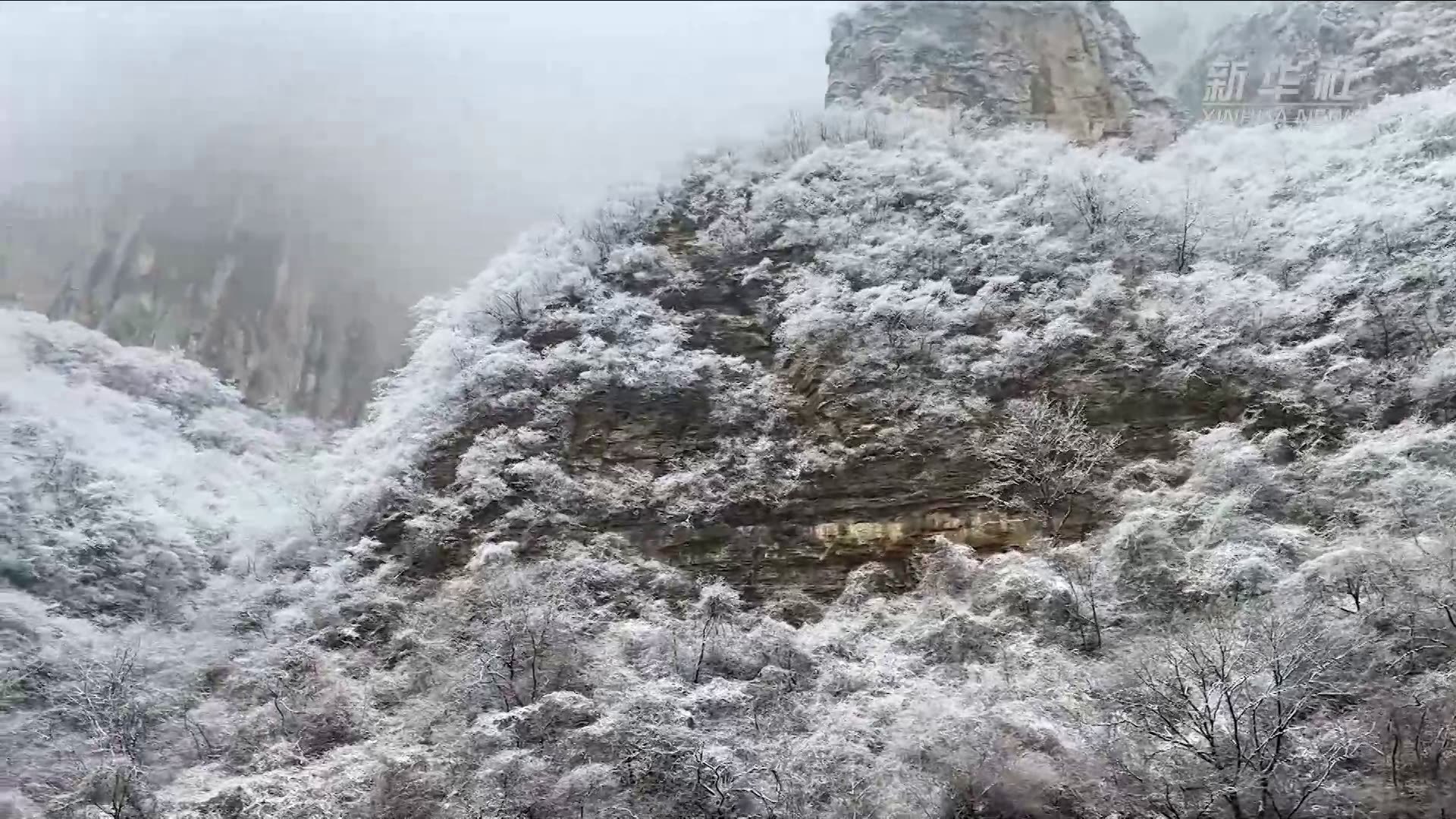 河南石板岩、冰冰背2日游-林州旅游攻略-游记-去哪儿攻略