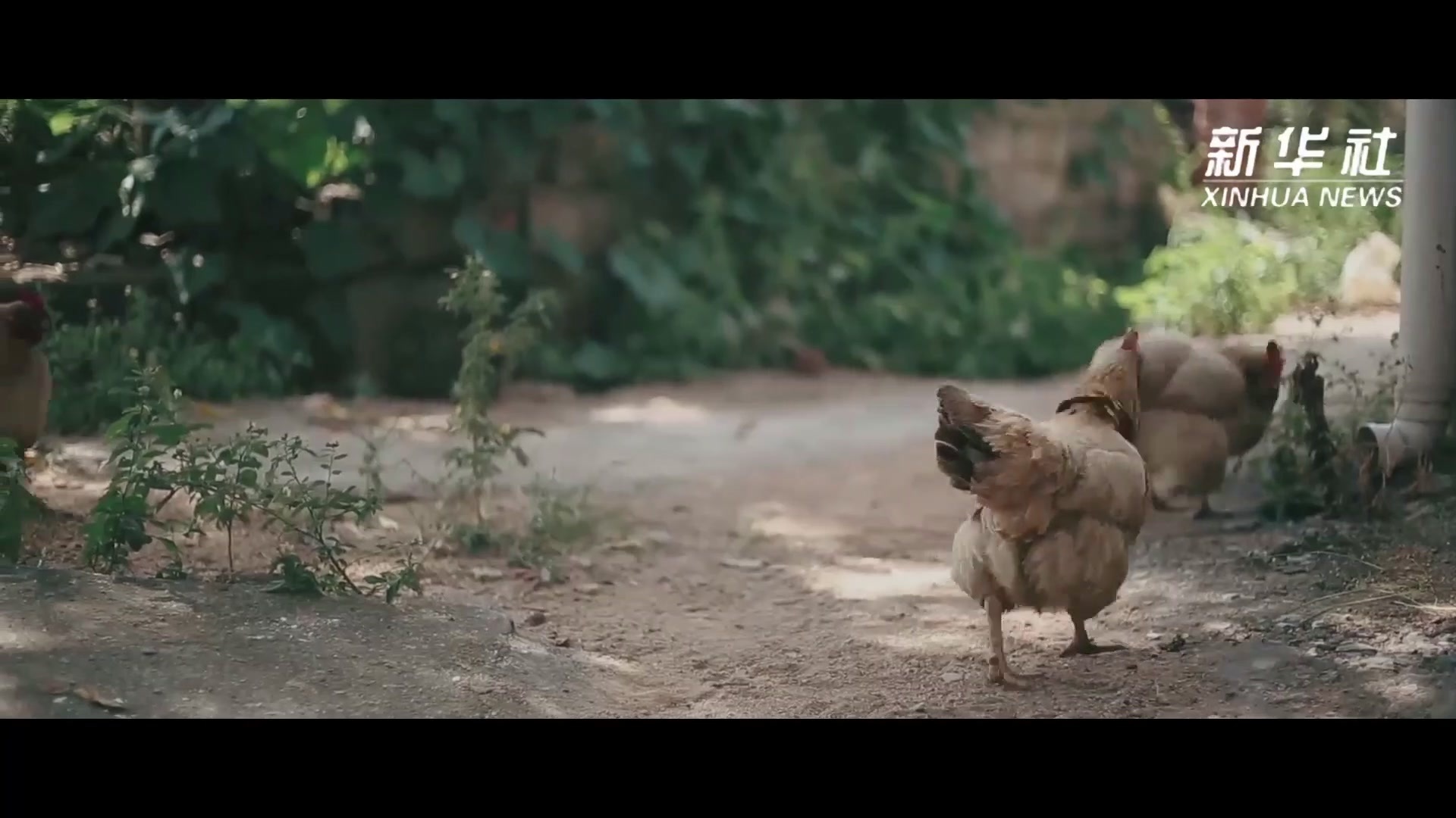 纪录片｜永远的红军