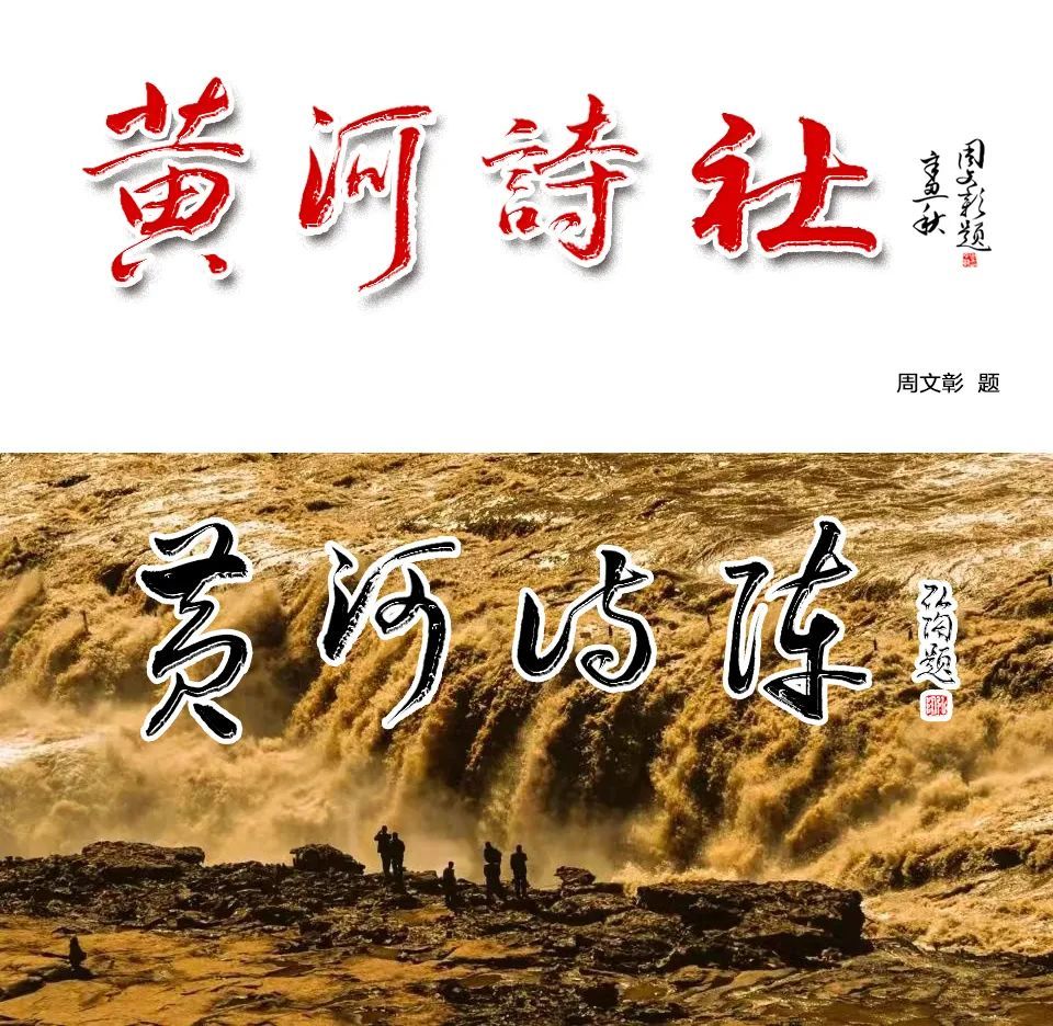 共话诗情！领略诗词名家阮莲芬作品里的“大美”