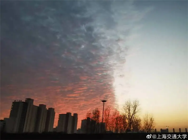 上海出现“阴阳天” 与江苏地震有关?气象局科普