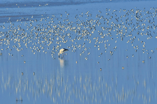 中国电信5G覆盖九江196个乡镇 开通236个新站点