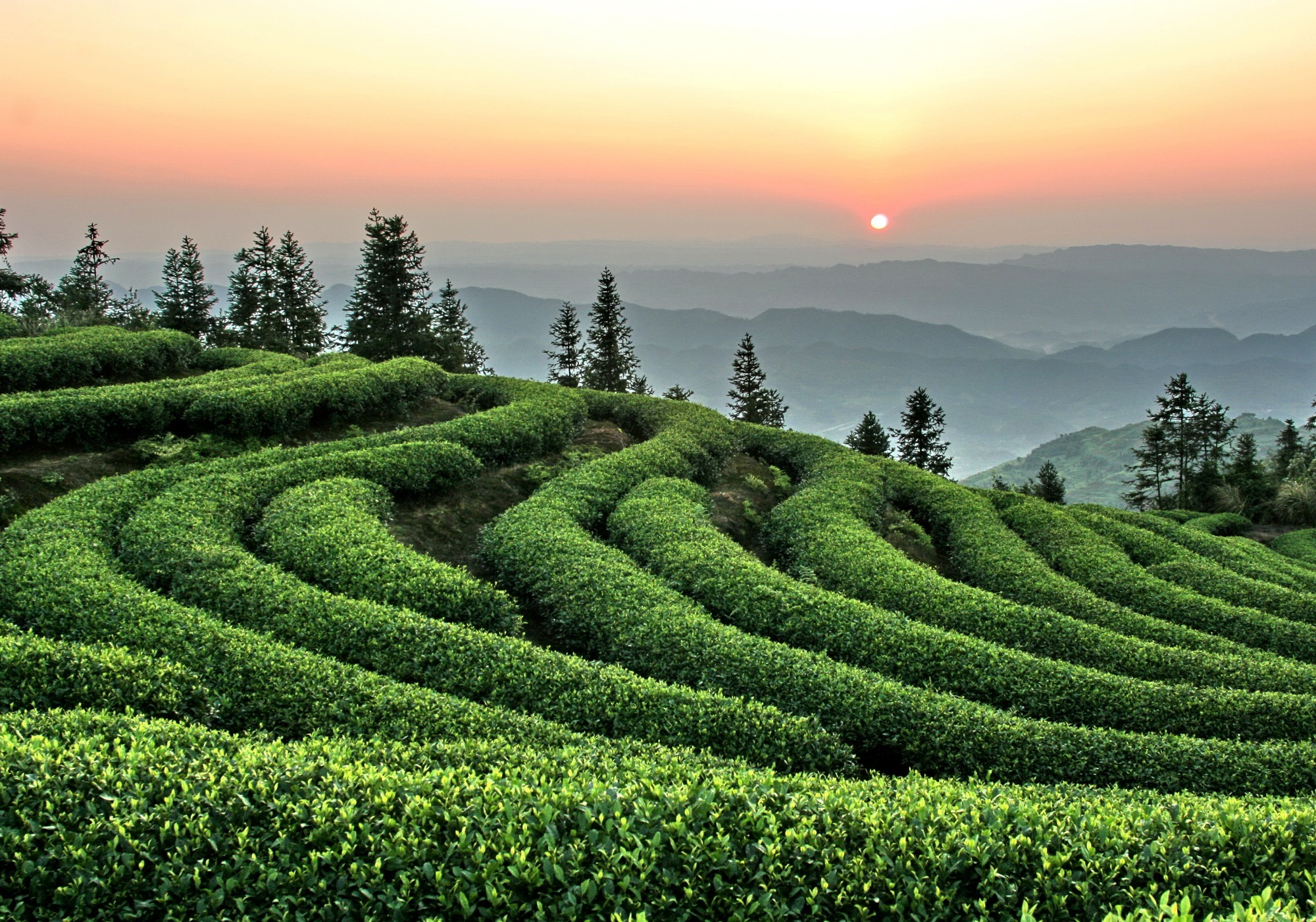 巴南区圣灯山镇创新基层社会治理邀游客共建共享美丽家园