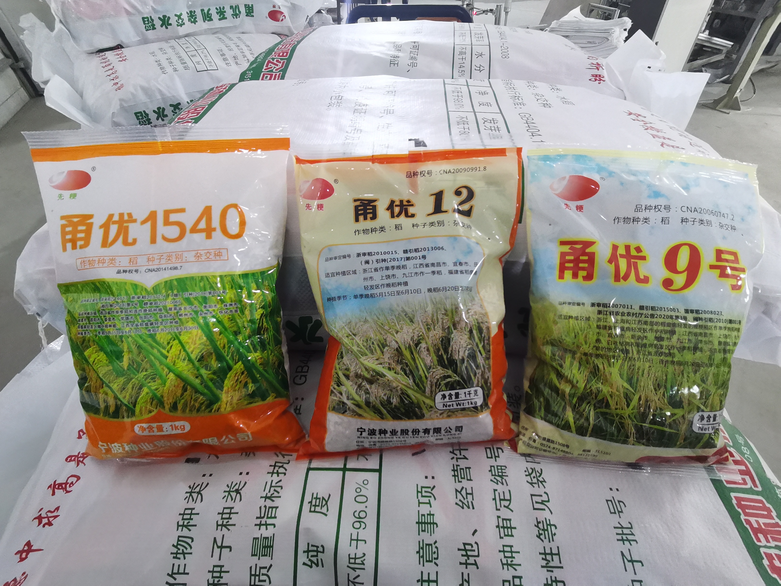 甬优1540品种介绍图片