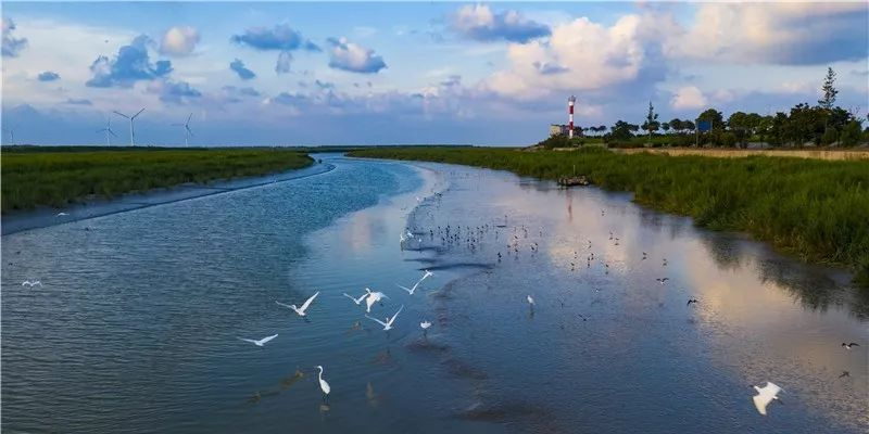 最高荣誉盐城东台泰东河工程获大禹奖