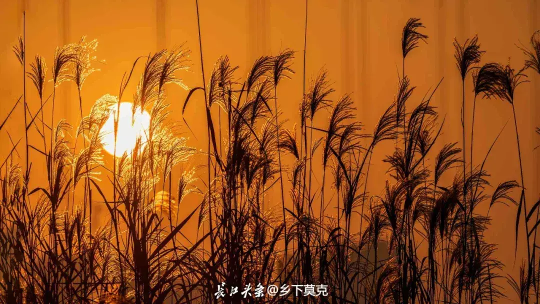 点击查看高清原图