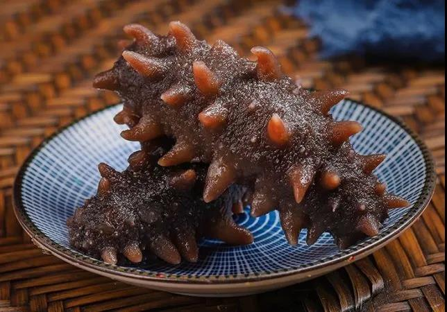 自贸区烟台成立“顶格”海参研究机构