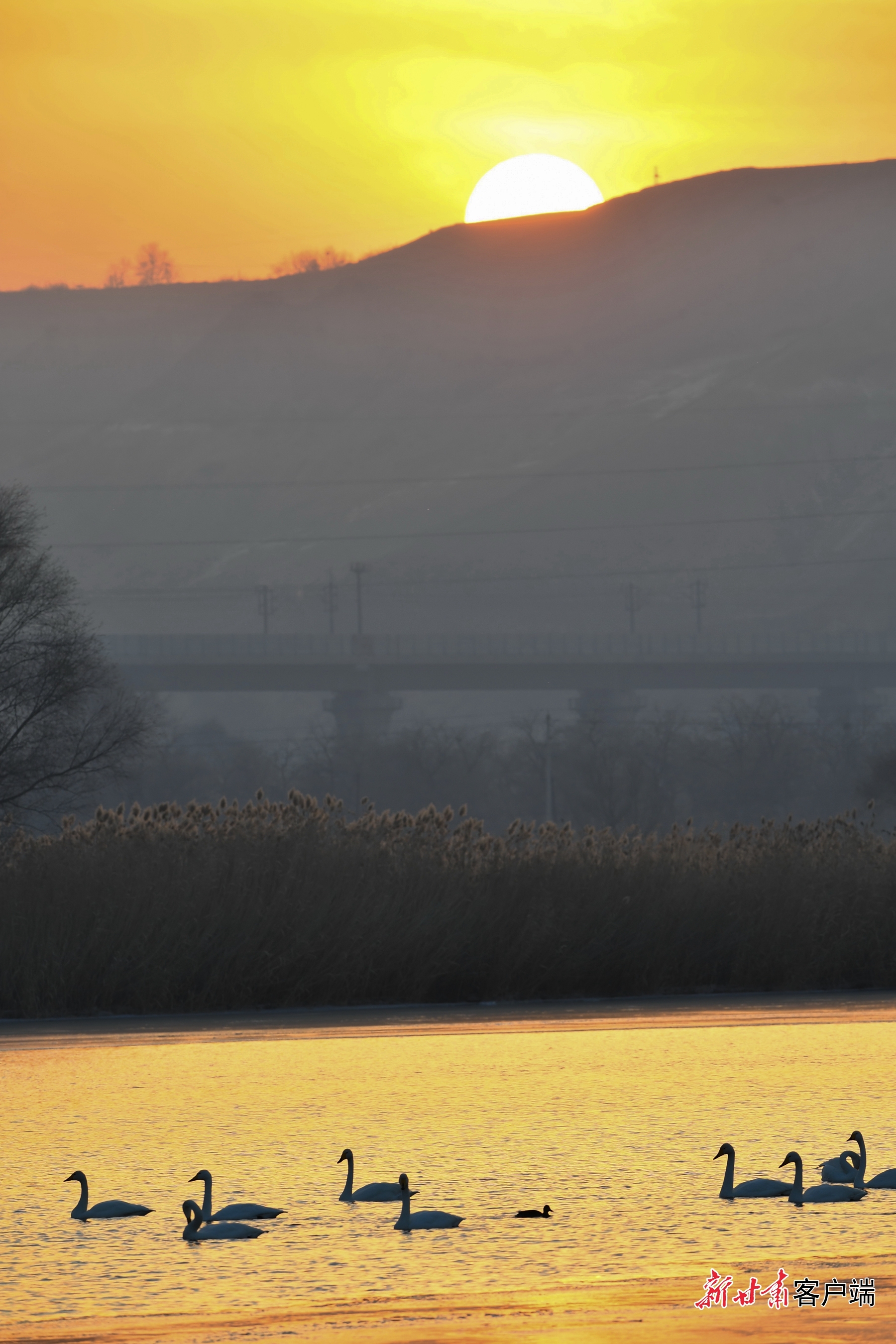 鹅鹅鹅兰州三江口迎天外来客