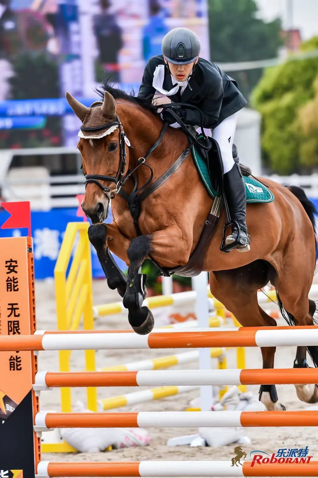 17岁骑手赵林泉:骏马少年,为梦想奋斗 ——凤凰网房产贵阳