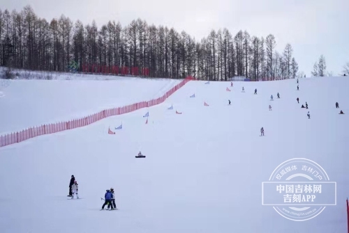 被原始森林环绕的雪场