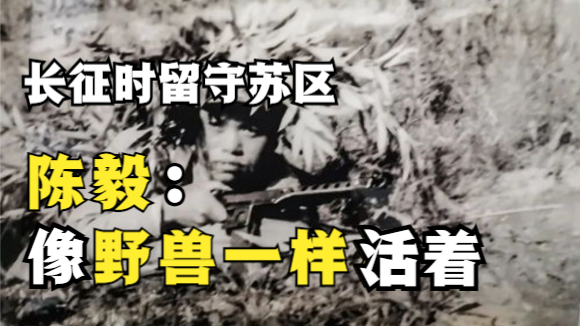 揭秘陈毅三年的“野兽”生活：山里睡外面跑，吃野草毒蛇过日子