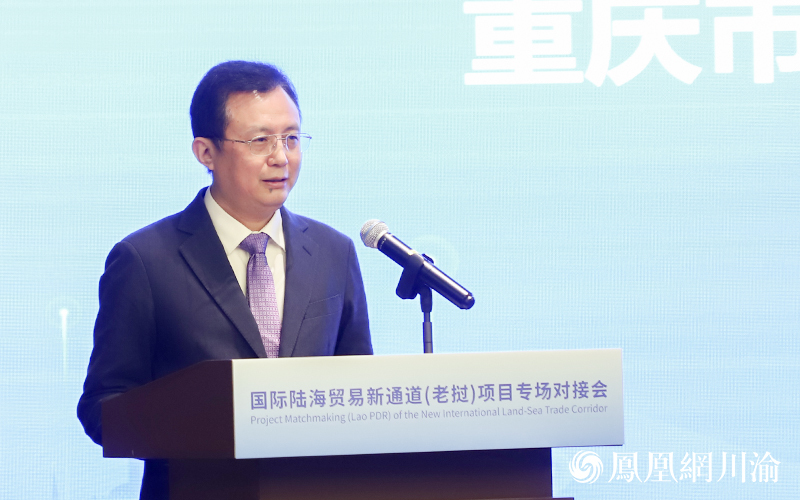 重庆市中新示范项目管理局局长曾菁华致辞