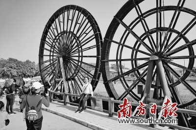 游客在中�I山“网红村”左步村的稻田水车前“打卡”拍照。卢子衡 摄