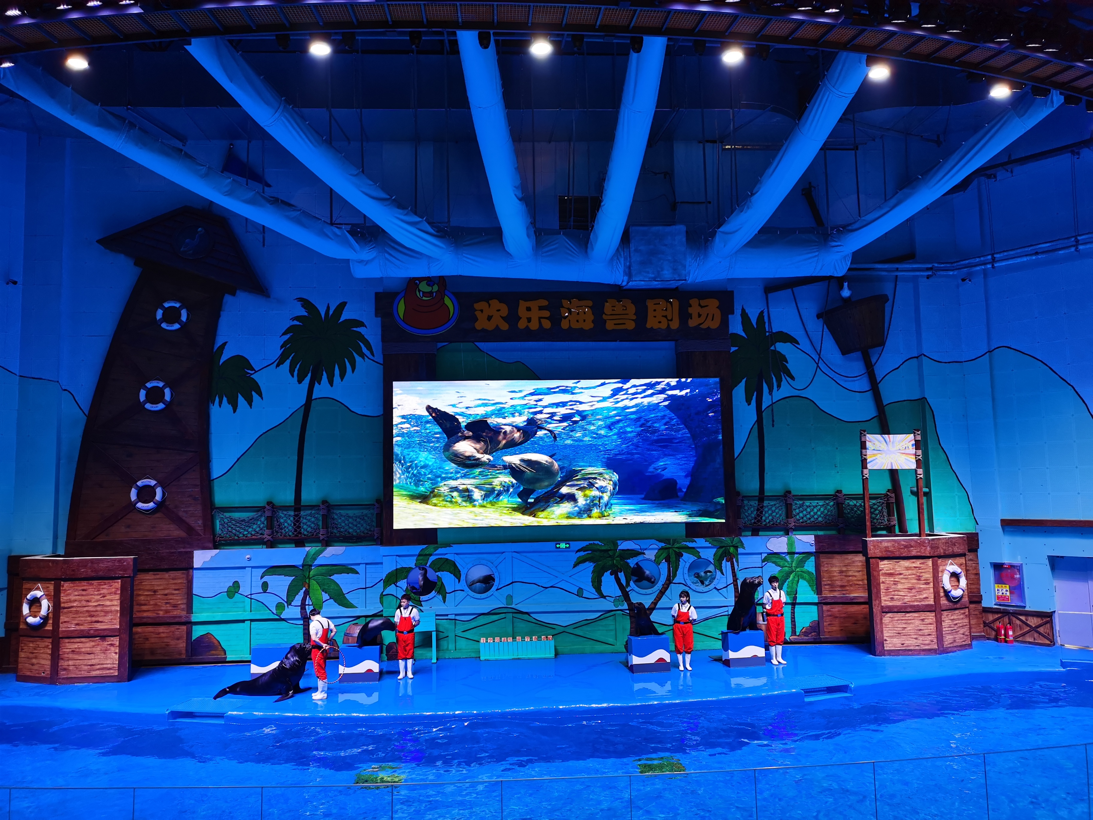 石家庄市动物园极地海洋世界绚丽绽放