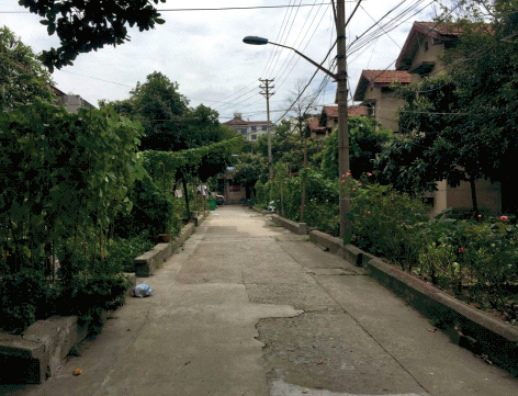 孝感喜迎两会丨老旧大院变身“智慧”小区 居民连竖大拇指