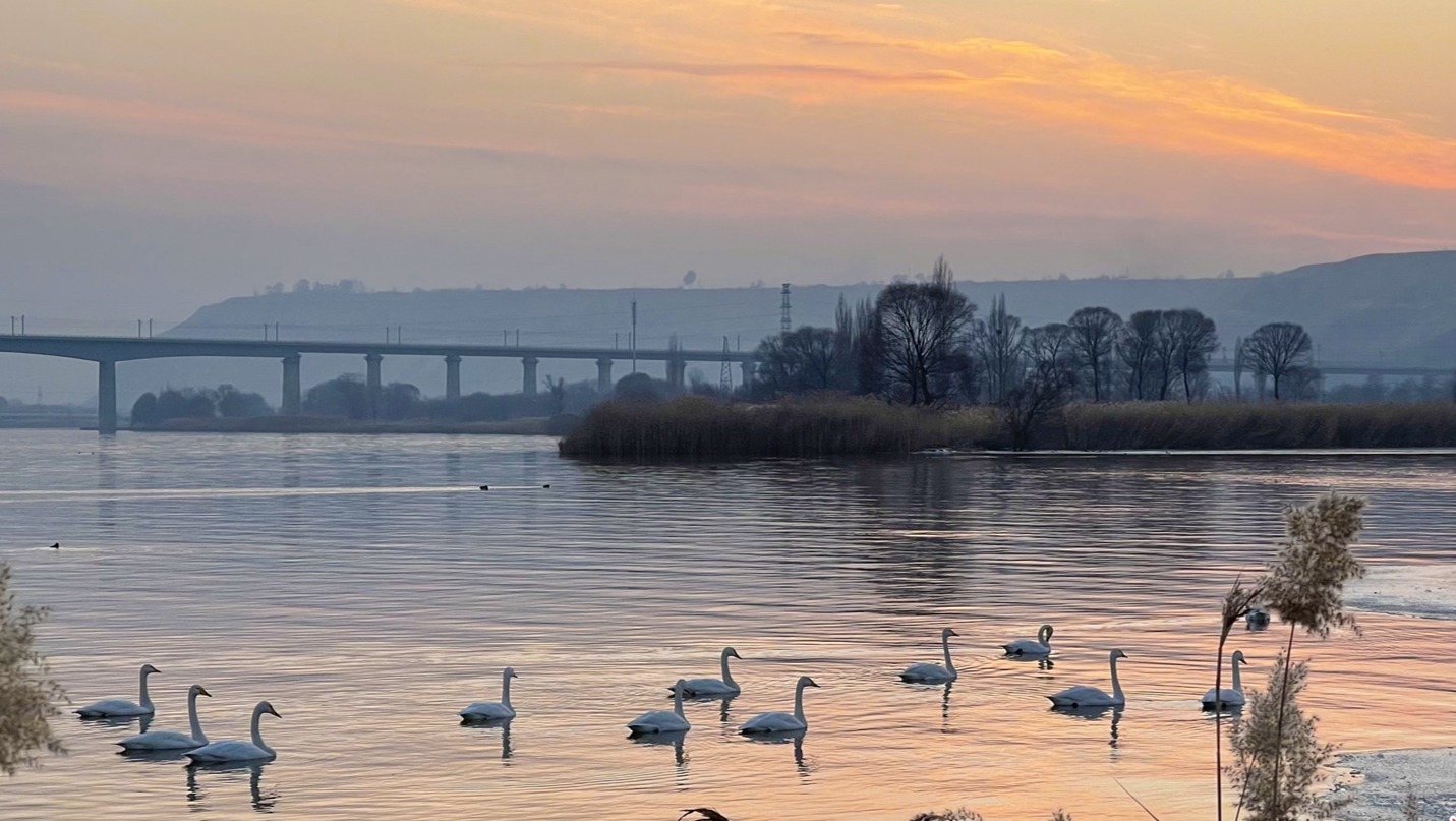 鹅鹅鹅兰州三江口迎天外来客