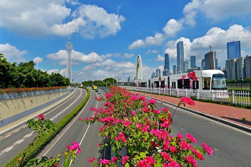 云白花红。通讯员供图