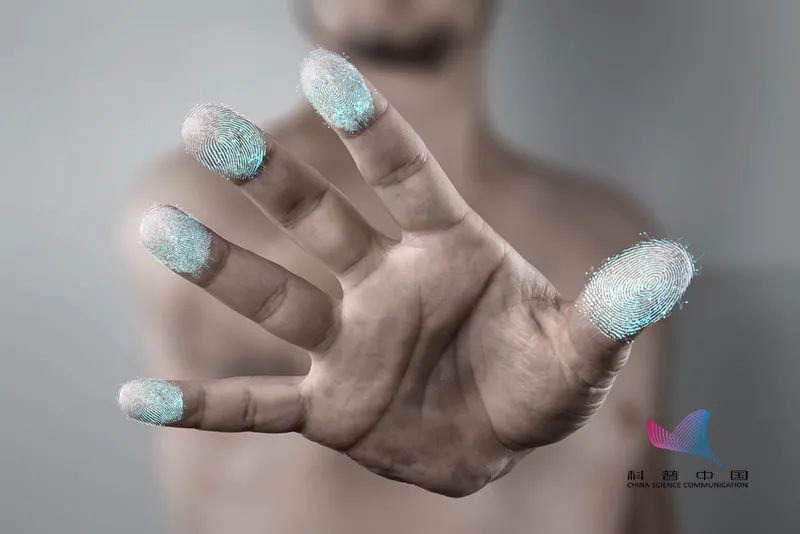 一斗穷二斗富你的指纹竟然藏着这些秘密