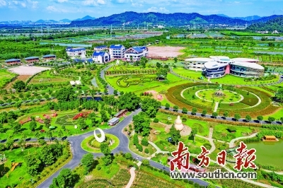 珠海斗门农旅融合助推绿色崛起