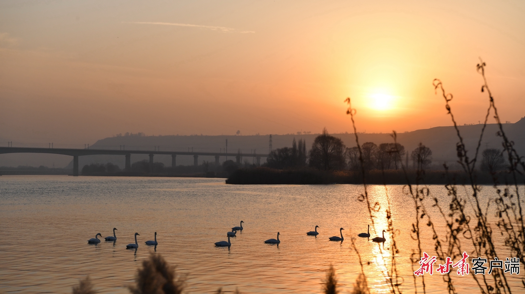 鹅鹅鹅兰州三江口迎天外来客