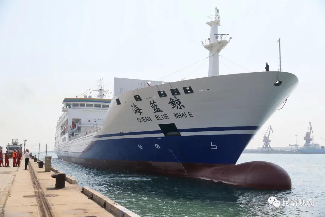 全球最大的客箱船"海蓝鲸"号正式投入中韩航线运营.