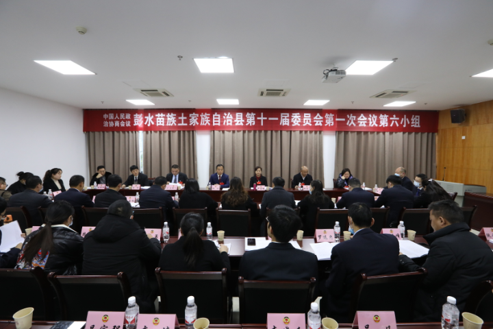 彭水县政协党组书记程途参加部分界别小组协商讨论