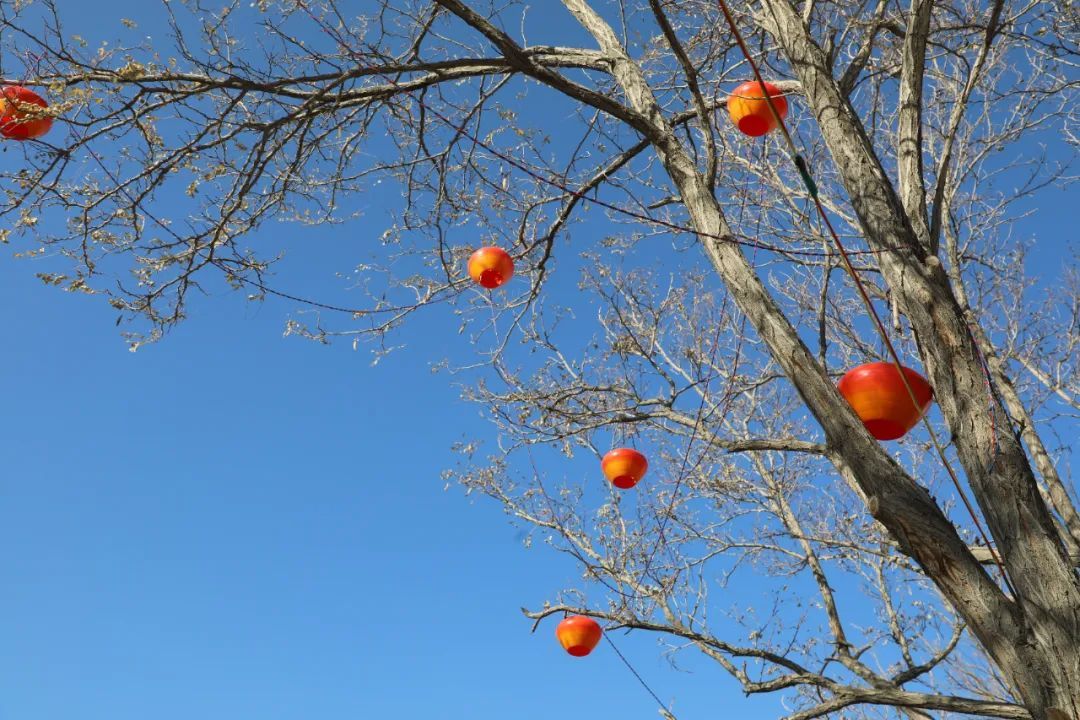 张灯结彩新春到 小年夜相约来看金昌最靓的灯