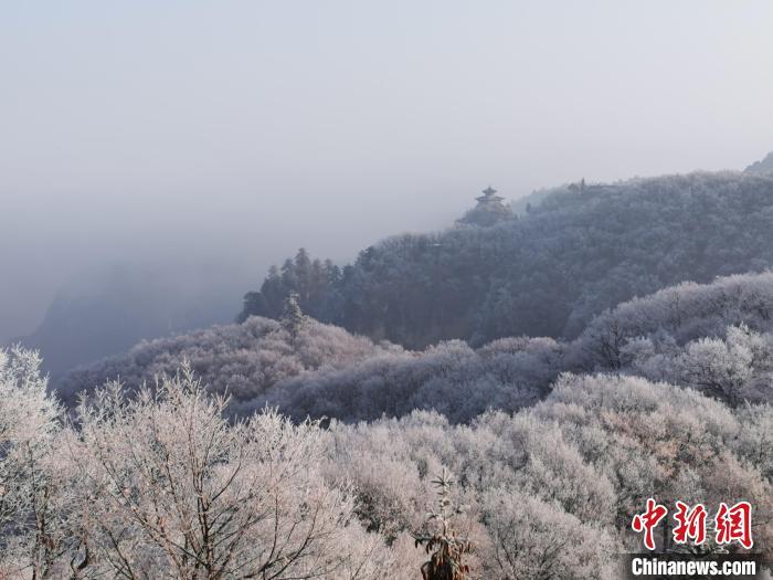 图为连绵山脉，皆是白色。徐振华 摄
