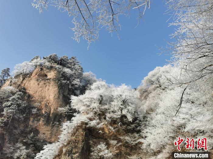 图为蓝天下雾凇笼罩山脉 徐振华 摄