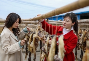 万年：板鸭飘香（图）