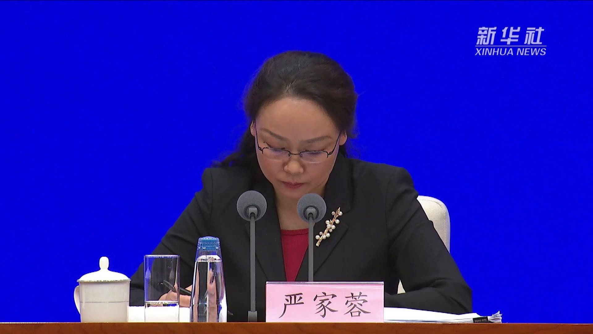 严家蓉：北京冬奥会人工造雪不会对区域用水安全和生态环境产生影响