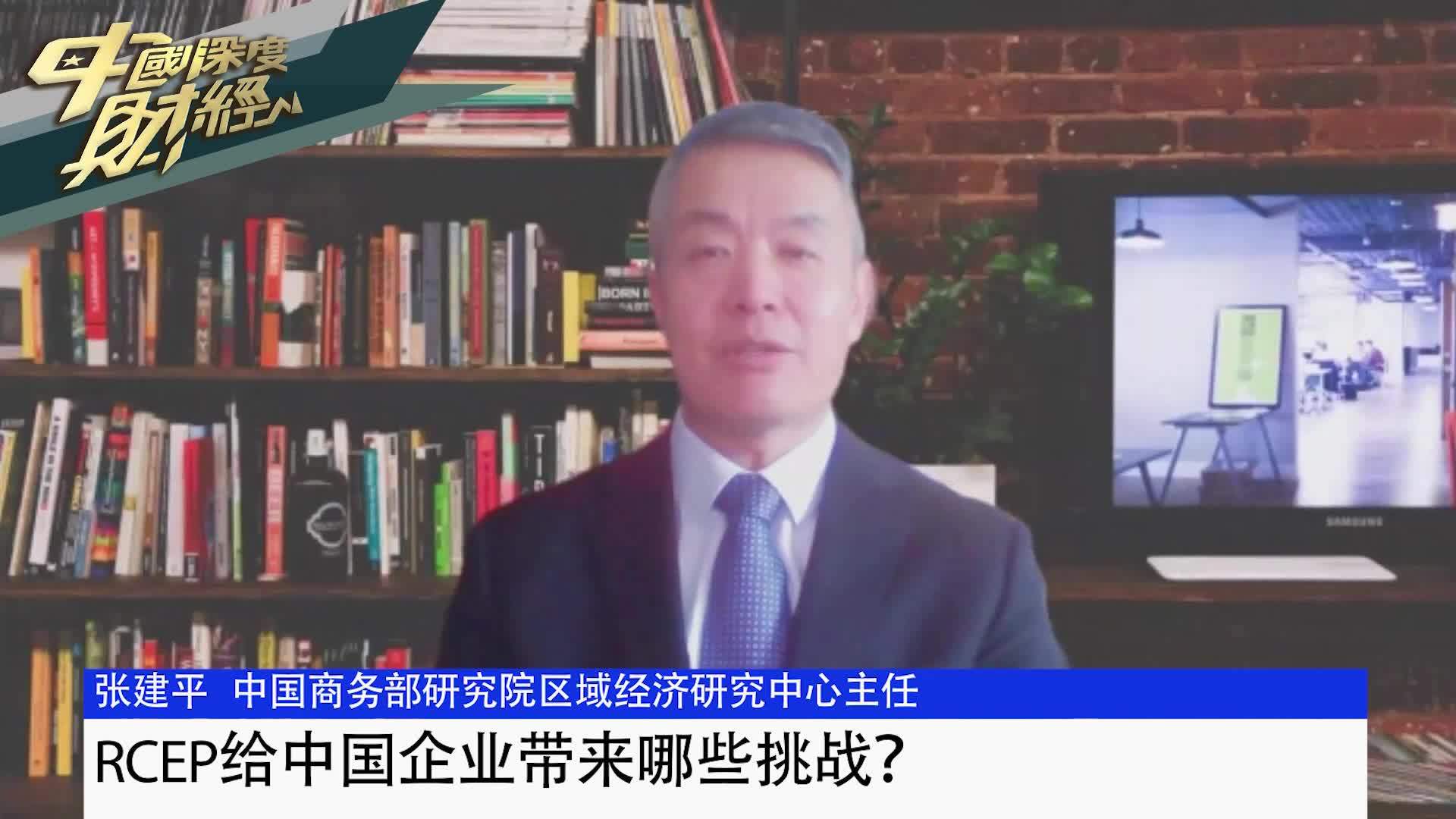 商务部研究院区域经济研究中心主任张建平：RCEP给中国企业带来哪些挑战
