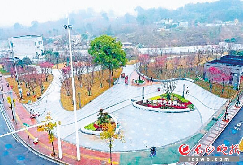 福元路街角花园。　　开福区园林绿化维护中心供图