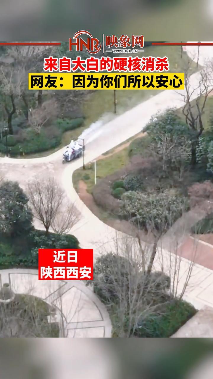真相大白了