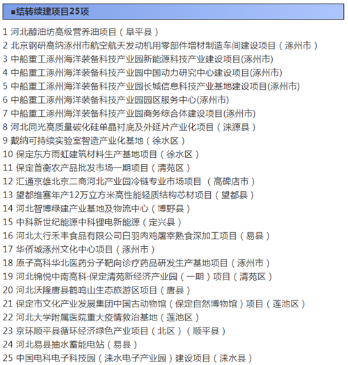 图3：结转续建项目25项
