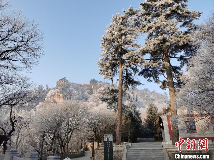 图为崆峒山雾凇景色美不胜收 徐振华 摄