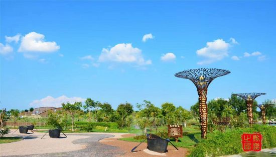 滨湖公园。 供图