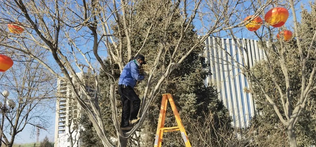 张灯结彩新春到 小年夜相约来看金昌最靓的灯