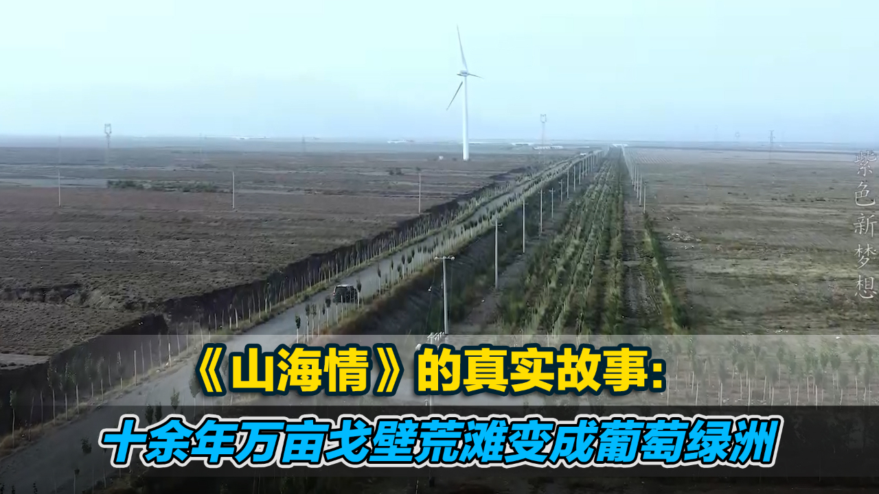 真实的扶贫故事