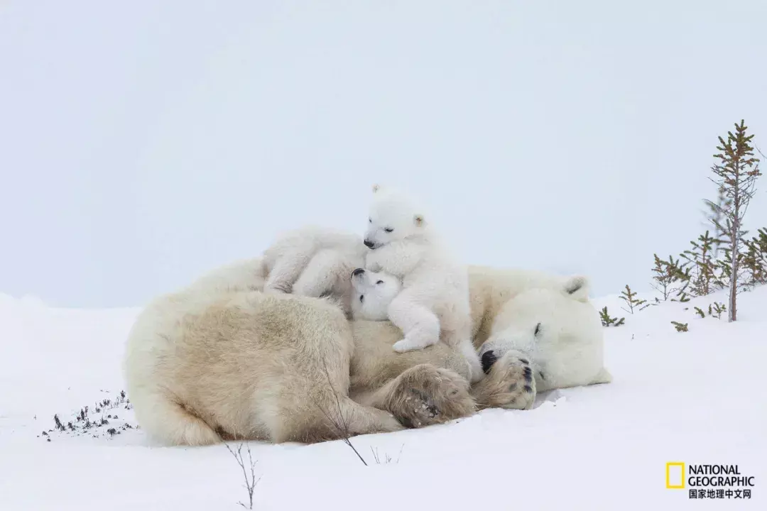 ͼƬ