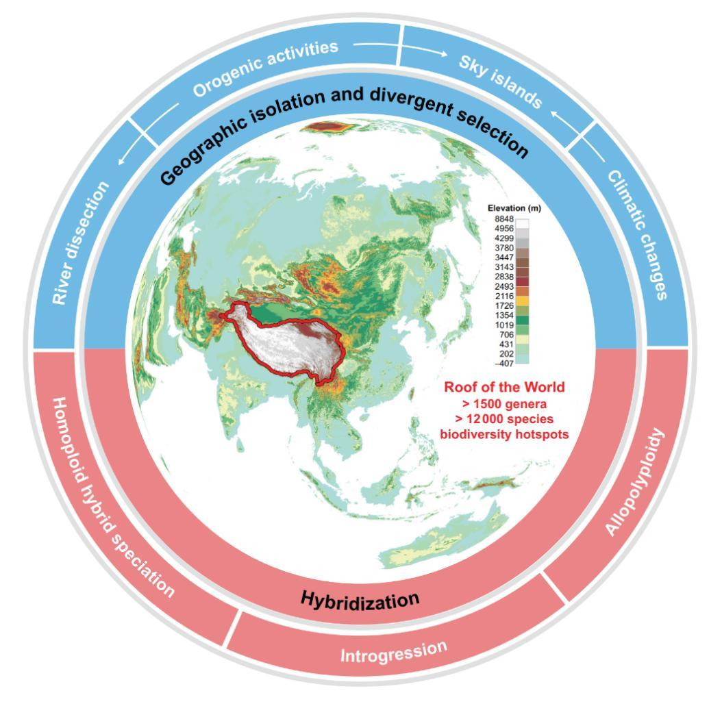 图2. 青藏高原物种多样性形成的可能驱动因子