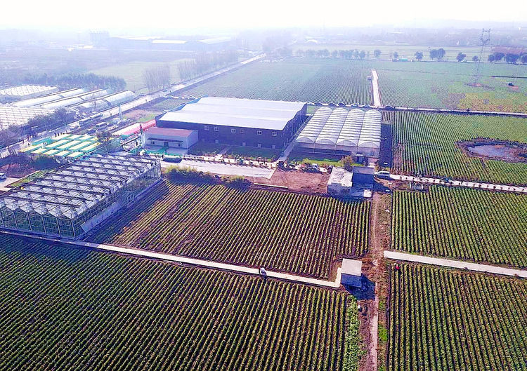 喜报章丘区绣惠街道被评为山东省乡村振兴示范乡镇街