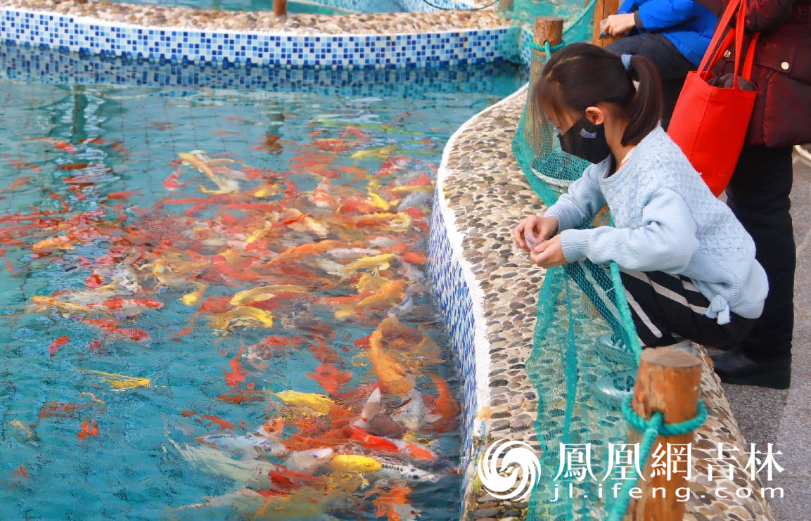 第十二届吉林（长春）冬季农业博览会开展：三十项活动精彩纷呈陪您过新年